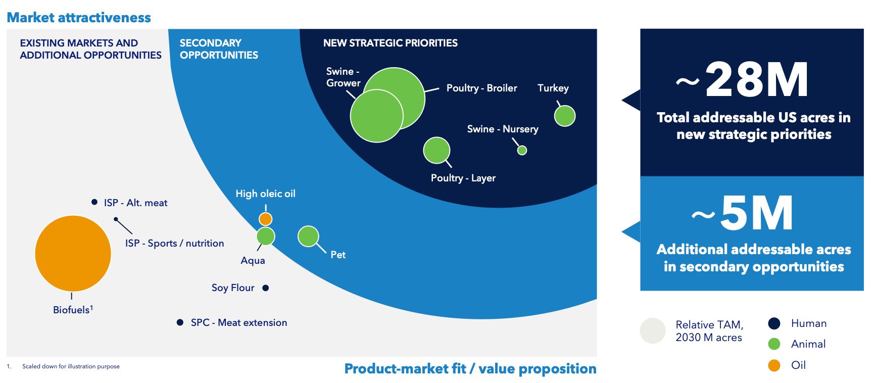 bhil new market animal